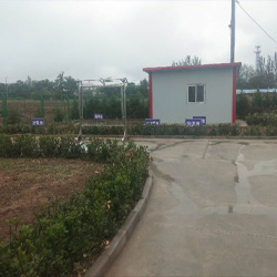 ����ƽ���а�������ˮ��