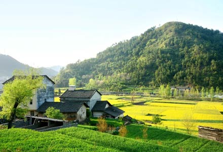 �ذ���2022�����ʡίһ���ļ����������Ų���39���ص㹤��