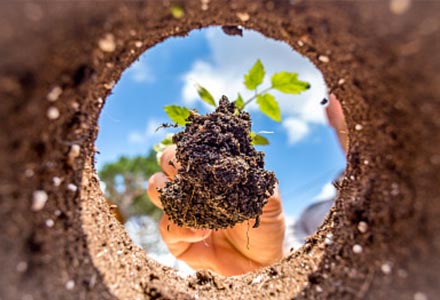 ������ҵͻ�ư�����ֵ����Ҫ��Щ������