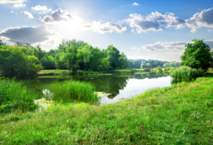 һ�����ģ�һ�����꣬������Ŀ��Ͷ��ġ�����